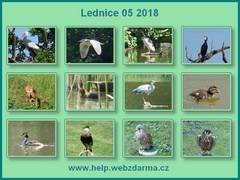 Lednice 2 2018